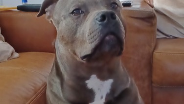 Bruce