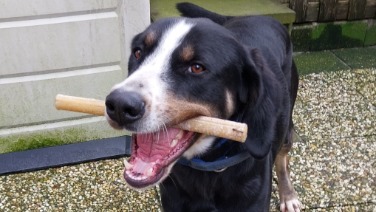 Max