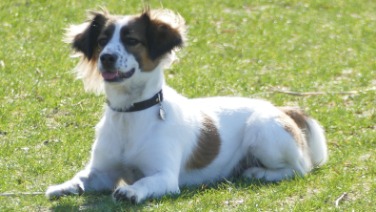 In de schijnwerpers - Sunny