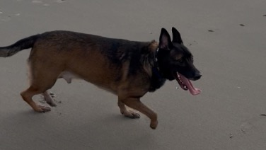 In de schijnwerpers - Pasha