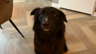 In de schijnwerpers - Nonna