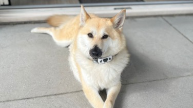 In de schijnwerpers - Bella