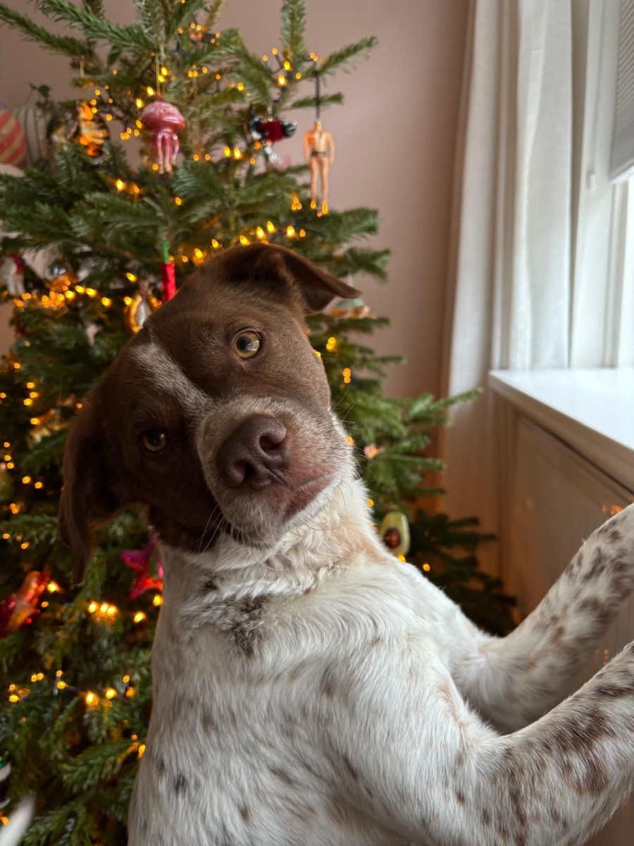 Jopie - Onbekend - Breda