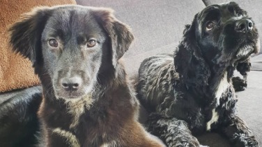 Marley & Bella
