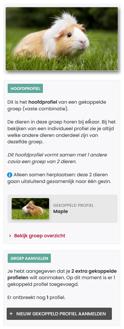 Profielen voorbeeld nog niet volledig