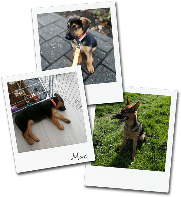 Max
