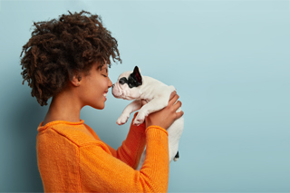 Aanmelden één huisdier