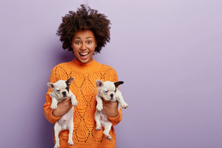 Aanmelden van twee huisdieren